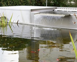 Wasserbecken Männedorf