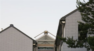 Windfangverglasung